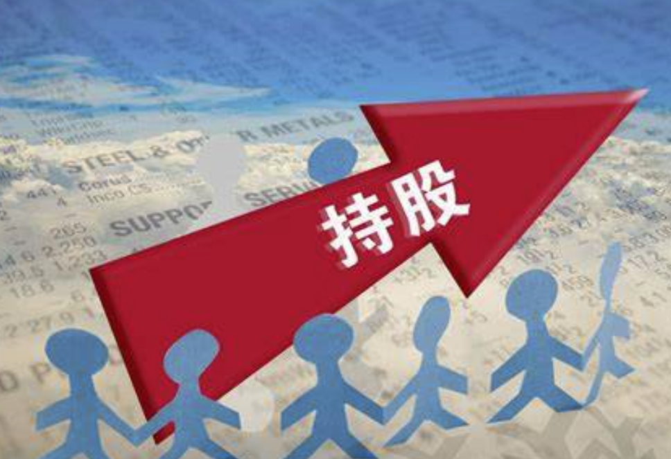 作为股东也是法人贷款还不上会有什么影响